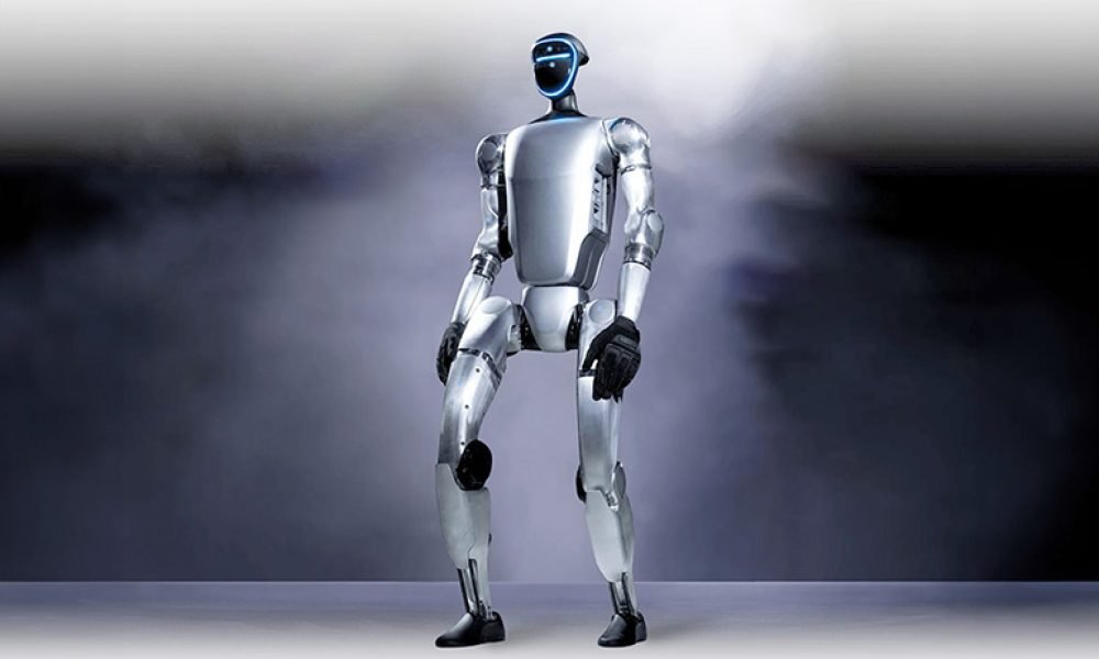 dmrobo-2